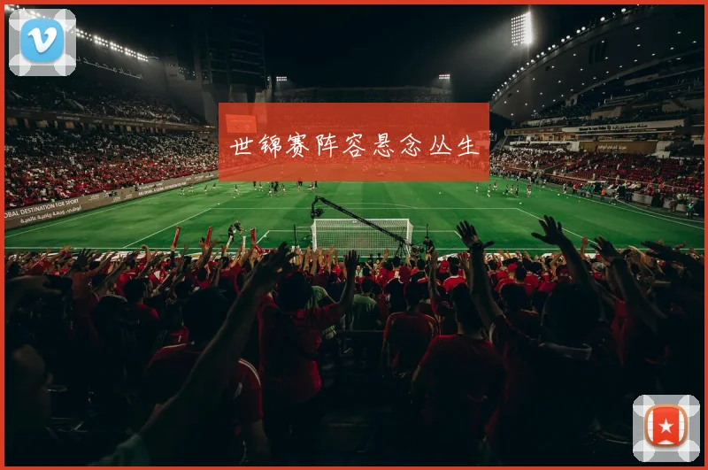 世锦赛阵容悬念丛生