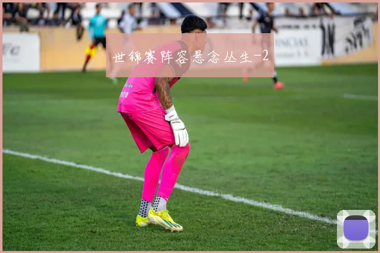 世锦赛阵容悬念丛生